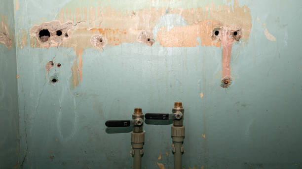 Best Flooded house restoration  in Laureldale, PA
