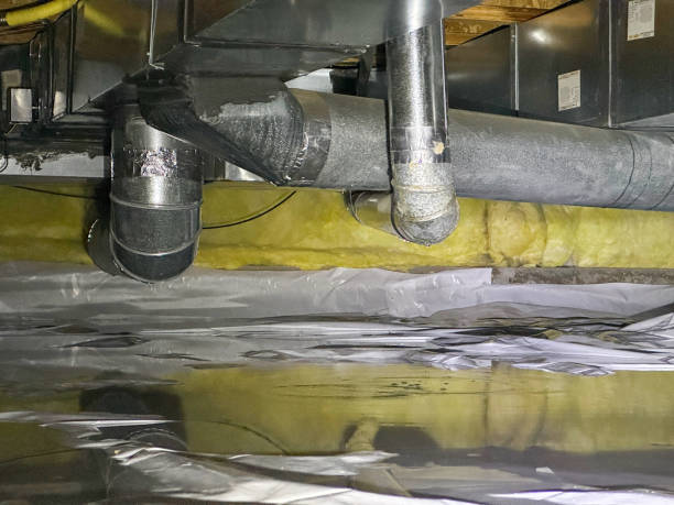 Best Water damage contractors near me  in Laureldale, PA