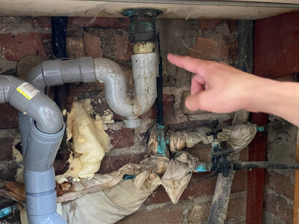 Best Professional water damage repair  in Laureldale, PA